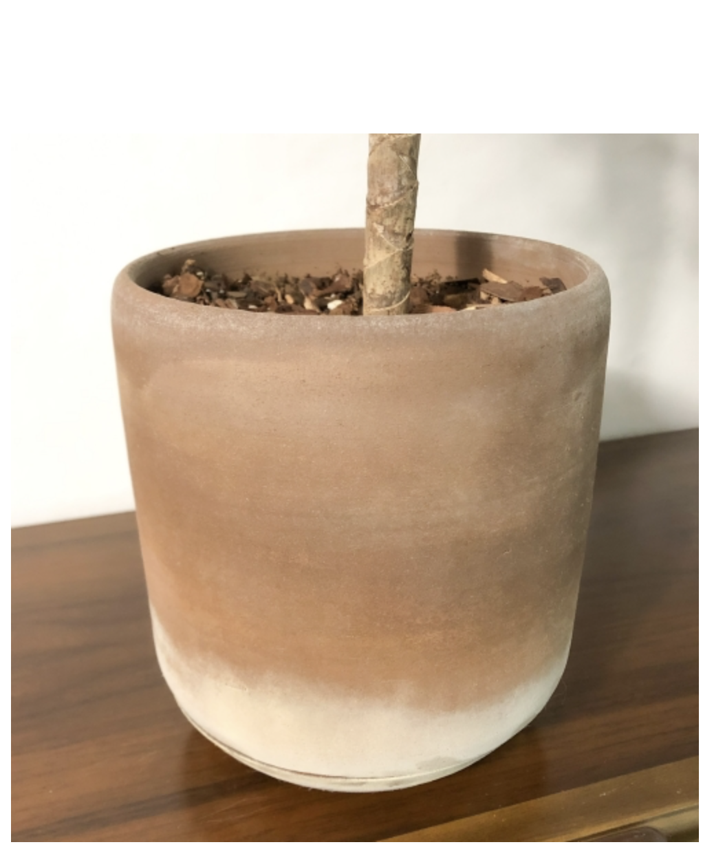 Why does the plant pot turn white ?